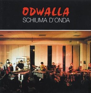 ★送料無料★Schiuma D