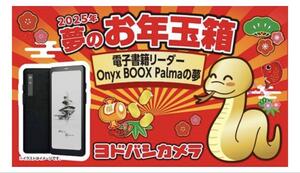 ヨドバシカメラ夢の電子書籍リーダー Onyx BOOX Palmaの夢