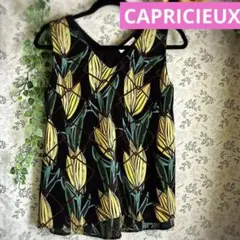 カプリシュレマージュ CAPRICIEUX LE