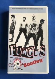 FUNGUS 『Bootleg LIVE ＆ DOCUMENT』　ファンガス　TRACY 貴重ビデオ　鎌坂誠　柴垣照彦