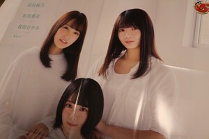 ポスター 欅坂46