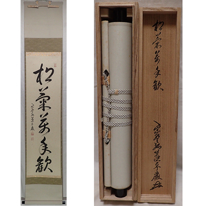 01015 前大徳寺 小堀卓巌 作 「松菊萬年歓」掛軸（共箱）茶道具（茶掛/紫野/小堀卓厳)