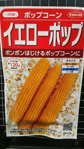 ３袋セット イエロー ポップ コーン トウモロコシ 種 郵便は送料無料