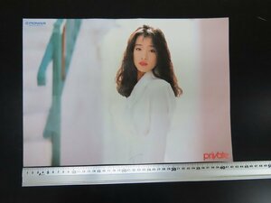 ◇Y232/中森明菜/パイオニア/private CD330 CD110/販促用/アイドル/1円～