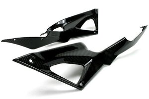 在庫あり TEASER [ドライカーボン] SPD02G サイドパネル DUCATI 1098 / 1198 / 848 ティーザー DRY CARBON