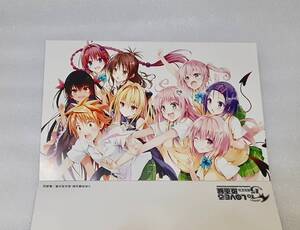 To LOVEる 原画展 ポスカ B-31 メインビジュアル 集合　ポストカード バラ売り トラブル 15周年記念原画展 finale　ポストカードブック