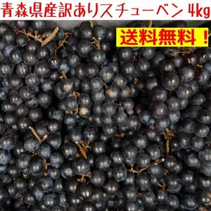 青森県産　スチューベンぶどう 訳あり　4ｋｇ　送料無料 ！