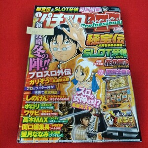 d-338　パチスロプロフェッショナル　2013年1月号　秘宝伝　SLOT牙狼　花の慶次　聖闘士星矢　プロスロ外伝※5