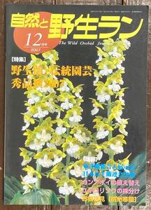 【即決】自然と野生ラン/2007年12月号/野生蘭と伝統園芸/秀品撰2007/東洋蘭/カンアオイの植え替え/ユキワリソウの株分け