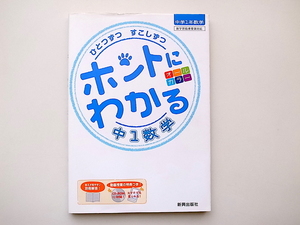 20D◆　ひとつずつ すこしずつ ホントにわかる 中1数学