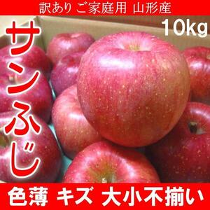 3個出品 予約 訳あり ご家庭用 山形産 サンふじ りんご 色薄 キズ 大小不揃い 10kg さんきん 1円 12月上旬頃より順次出荷予定