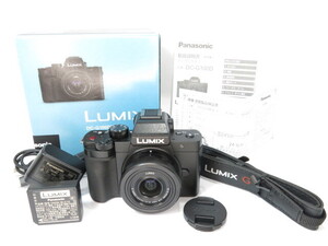 【 極美品 保証残あり】Panasonic LUMIX G100D G VARIO 12-32mm レンズセット ミラーレス カメラ パナソニック [管PN4882]