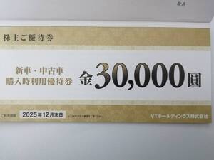 VTホールディングス 株主優待券　１冊