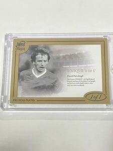 1枚限定 1of1 David Fairclough 1/1 UNIQUE 2022−23 Futera Unique World Football デヴィットフェアークラフ