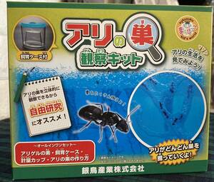 ★アリの巣観察キット★子ども 子供 実験 自由研究 プレゼントにも！