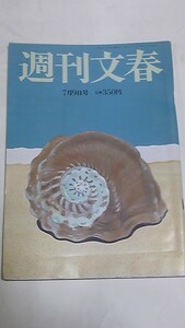 ０９　７　９　週刊文春　相内優香　秋元玲奈　マイケルジャクソン