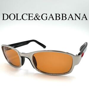 DOLCE&GABBANA ドルチェアンドガッバーナ サングラス D&G2029