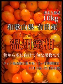 〝甘い家庭用〟温州みかん 10kg 和歌山県 晩生