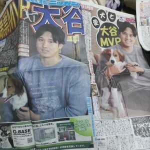 大谷翔平MVP満票愛犬デコピンコーイケルホンディエメジャーリーグ二刀流ドジャース3紙セット全スポニチニッカンワールドシリーズ優勝世界一