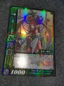 三国志大戦 TCG SR黄月英