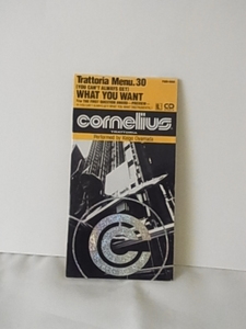 コーネリアス「What You Want」Cornelius、小山田圭吾、CDシングル、3トラック入り 8センチCD　廃盤　1994年　大人気　貴重レア