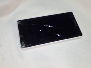 送料無料 SONY ウォークマン NW-F886