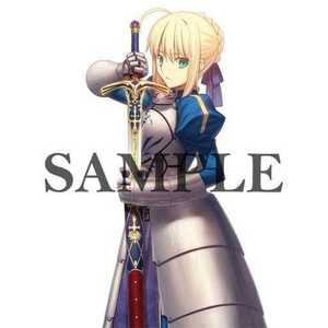 Fate/stay night 武内崇イラスト B2タペストリー セイバー