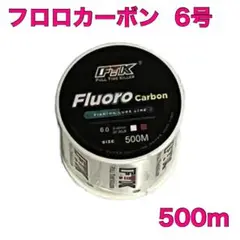 フロロカーボン 6号 500m フロロライン ハリス 釣り糸JI