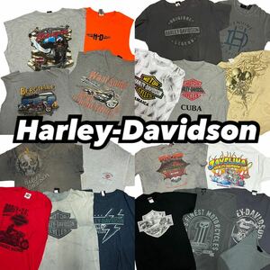 USA古着卸 洗濯済 Harley-Davidson Tee 20着 セット ハーレーダビッドソン 半袖Tシャツ まとめ売り 1円スタート 卸売 アメリカ古着 plywood