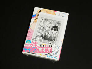 【未開封】 王子様の友達 2巻 初版 一般書店向け 作品応援店ペーパー 付き すけろく