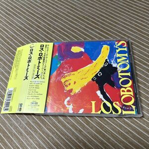 Los Lobotomys 1st　Steve Lukather David Garfield Jeff Porcaro Vinnie Colaiuca Joe Sample Will Lee 国内盤