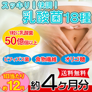 乳酸菌 ビフィズス菌 食物繊維 オリゴ糖 サプリ 国内製造 ダイエット サプリメント 約4ヵ月分 〔120日分×1袋〕〔メール便出荷〕