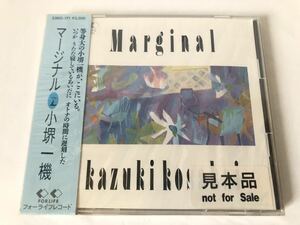 未開封 見本 小堺一機 マージナル Marginal プロモ盤