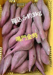 訳あり 鳴門金時さつまいも 箱込み約3kg