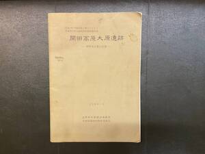 開田高原 大原遺跡 埋蔵文化財発掘報告書