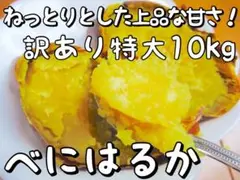 10kg 【紅はるか】訳あり特大 ☆ねっとり甘い☆さつまいも