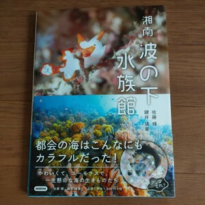 ★送料無料 G 即決♪　湘南波の下水族館 都会の海はこんなにもカラフルだった！ 写真集 フォトブック 佐藤輝　鍵井靖章　工藤孝浩 vv⑦