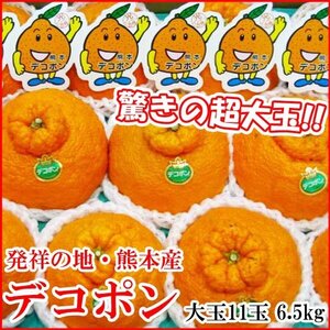 【Good】6.5kgのボリューム！驚きの超大玉！JA熊本果実連 熊本産 デコポン 特大11玉