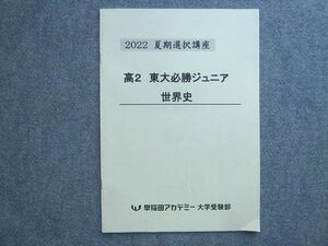 AH03-022 早稲田アカデミー 大学受験部 2022 夏期選択講座 高2 東大必勝ジュニア 世界史 ☆ 004s0B