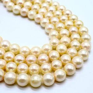 ＊アコヤ本真珠 ロングネックレス＊o 約70.6g 約6.5-7.0mm珠 あこや pearl necklace DD0/DF