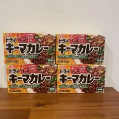 エスビー食品 ドライキーマカレー 中辛 100g