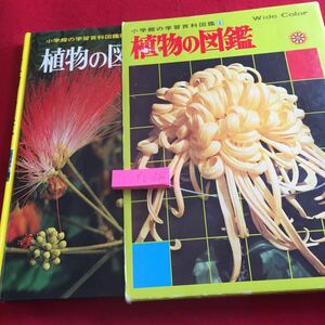 YU-286 小学館の学習百科図鑑1 植物の図鑑 ワイドカラー 箱つき 小学館 1988年第48刷発行 チューリップ さくら あさがお たんぽぽ