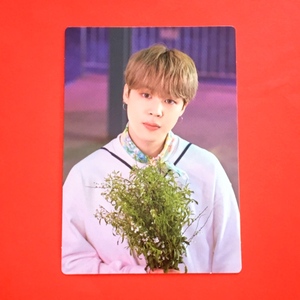 防弾少年団 BTS 2021 MUSTER SOWOOZOO 公式 MINI PHOTO CARD ランダム ミニフォトカード JIMIN 2 ジミン