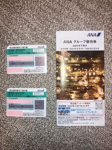 【送料無料】【最新】ANA株主優待券2枚＋グループ優待券冊子1冊 （有効期間： 2024年12月１日～2025年11月30日）