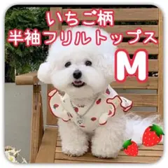 犬服 夏服 小型犬 いちご柄 半袖 フリル袖 トップス 白  Mサイズ M