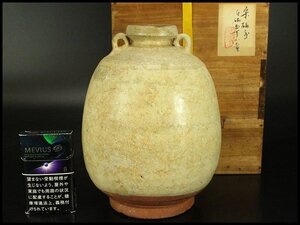 【銀閣】李朝 高麗 白釉 双耳 壷 高20cm 旧家蔵出 送料無料(AZ946)