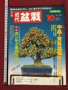 ｍ※　月刊　近代　盆栽　1997.10　中品・貴風盆栽カーニバル　ボンサイ実力テスト　　/I122