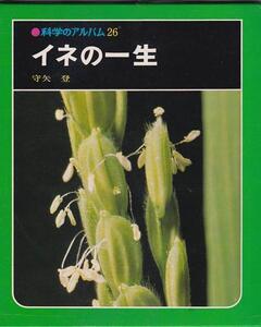 ★ 科学のアルバム 26 イネの一生