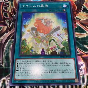 遊戯王　ノーマル　DABL-JP064　ナチュルの春風　 DARKWING BLAST