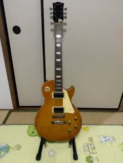 Grass Roots G-LP-50S